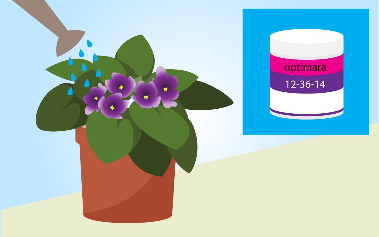 Grow African Violets Faster: Step-by-Step Propagation Tips